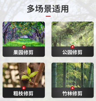 电动修枝剪4公分单电双电池套餐代发图5