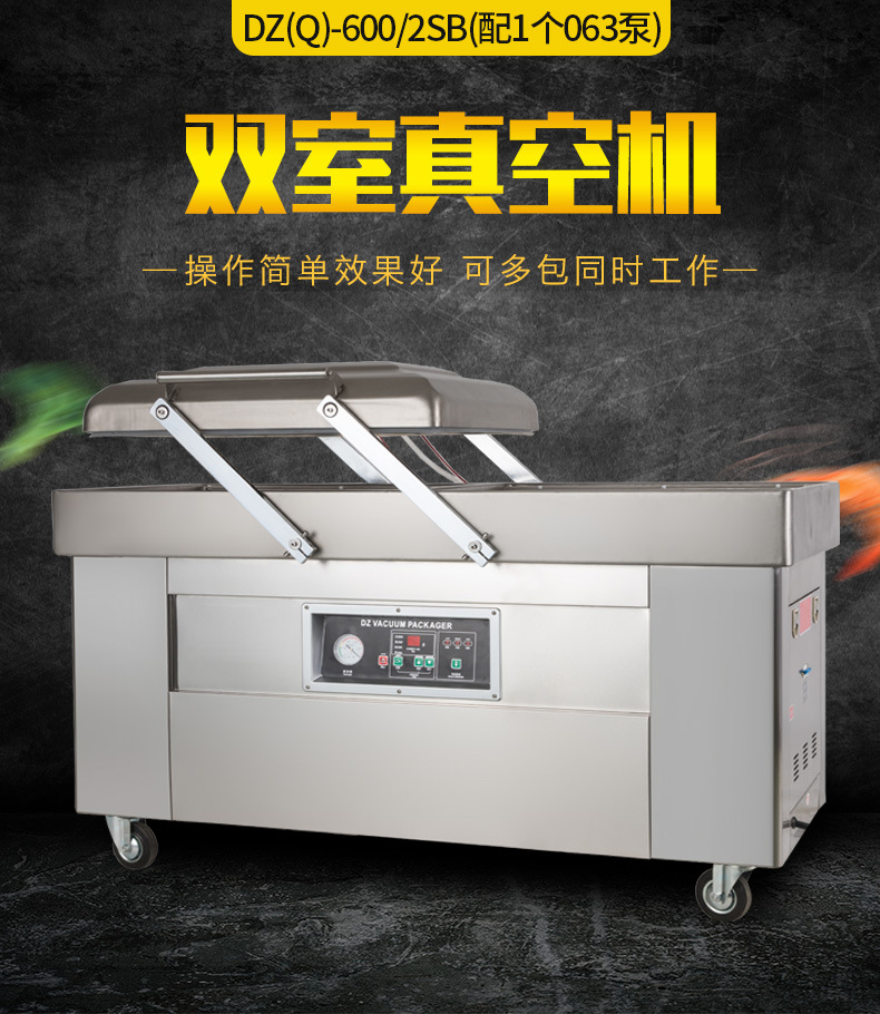 DZ(Q)-6002SB双室真空机(配1个063泵)_01.