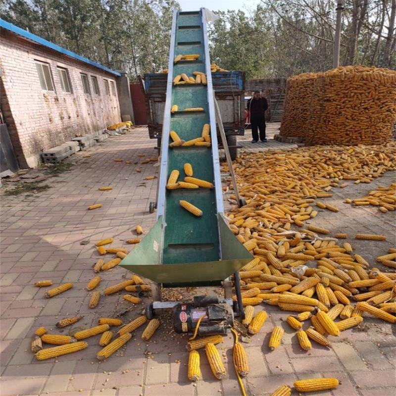 小型皮带输送机皮带上料提升机皮带装车机玉米棒槌棒子装车输送机图3