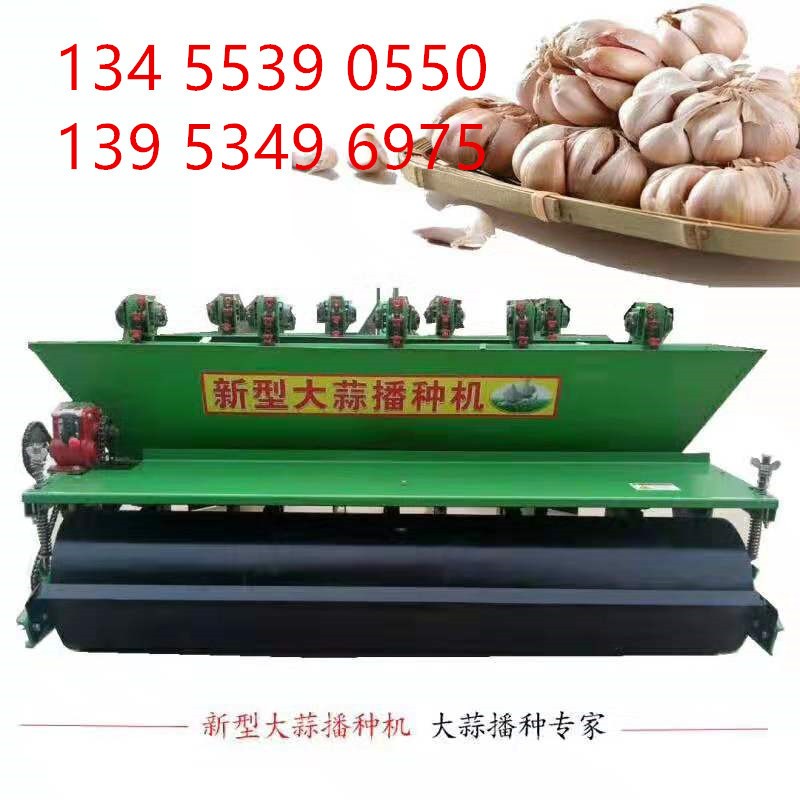 精量播种 大蒜播种机 大蒜点播机 种大蒜的机器 一穴一粒图5