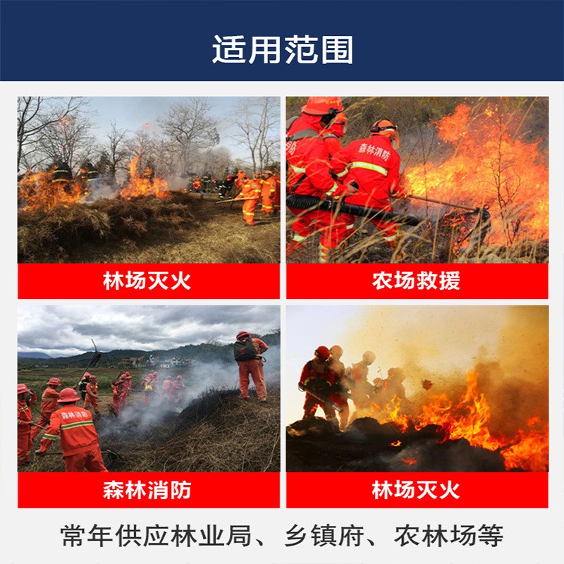 新型电动灭火水枪往复式单兵灭火工具森林消防装备桶20升12V电池图4