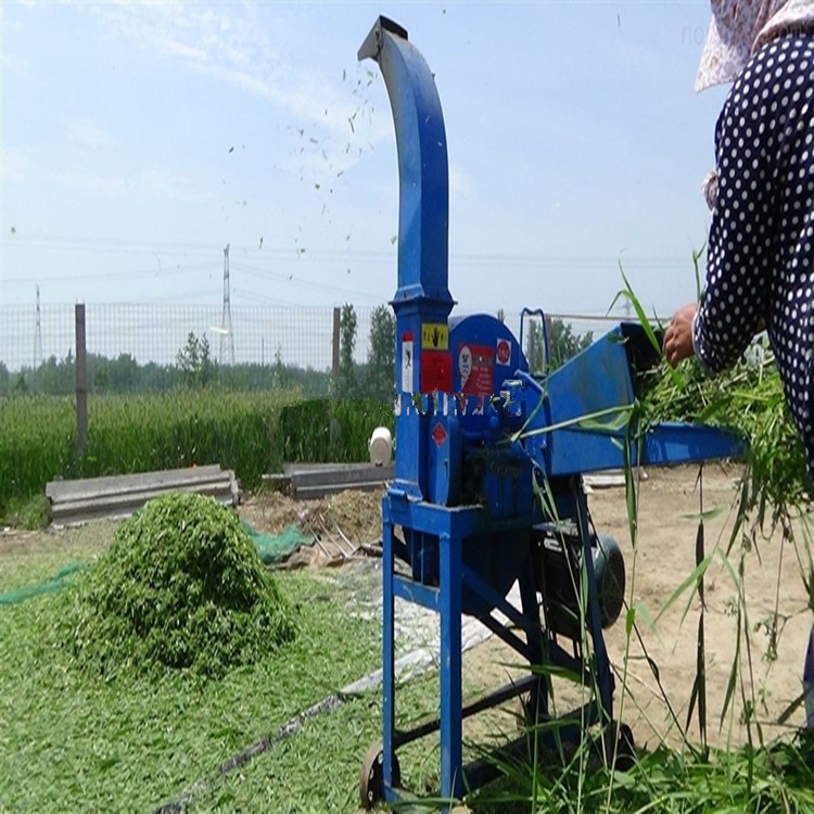 玉米饲料粉碎机 时产4吨玉米秸秆揉丝机 铡草机 切草机 养殖图4