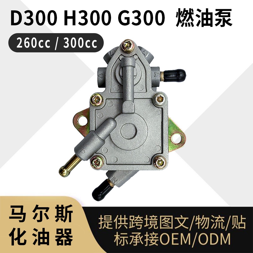 D300 H300 G300 燃油泵 260cc 300cc Fuel Pump图1