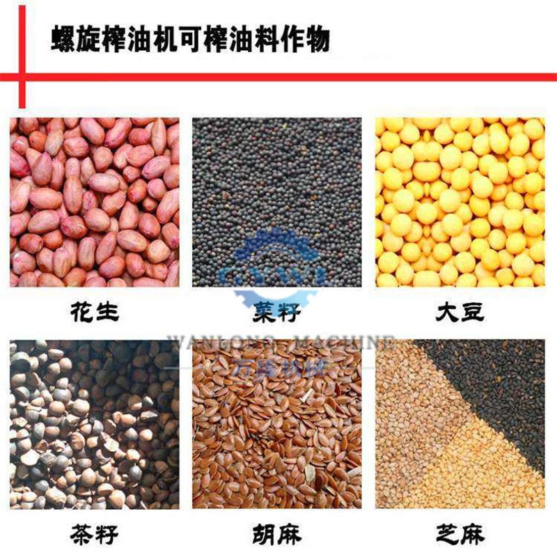 商用全自动大型菜籽花生螺旋榨油机100型油坊用卧式螺旋压油机图3