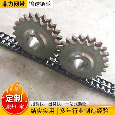 大节距输送链条链轮 单双排机械配件工业链条不锈钢链轮工业齿轮