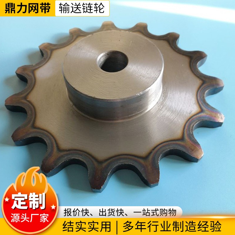 大节距输送链条链轮 单双排机械配件工业链条不锈钢链轮工业齿轮图2