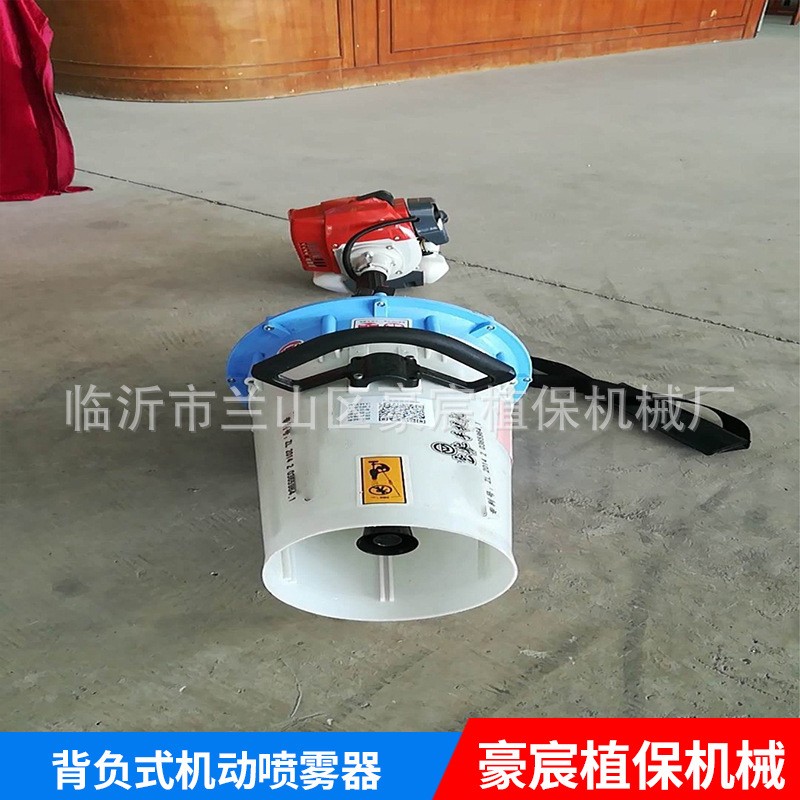 安徽背负式机动喷雾器 安徽华盛3WF-3A弥雾机 安徽便携打药机图5