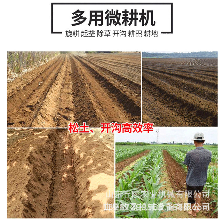 O1CN01iN1CIS2DtzkSbnxpe_!!3399