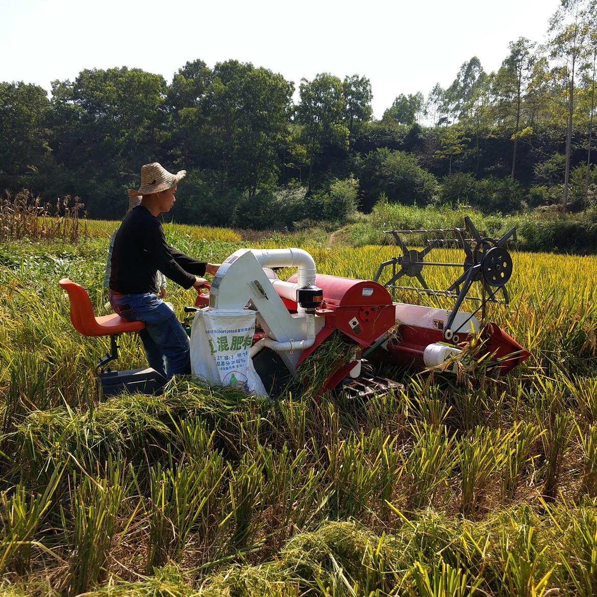 履带式全喂入全自动小型水稻收割机 小麦收割机 谷物收获机割晒机图3