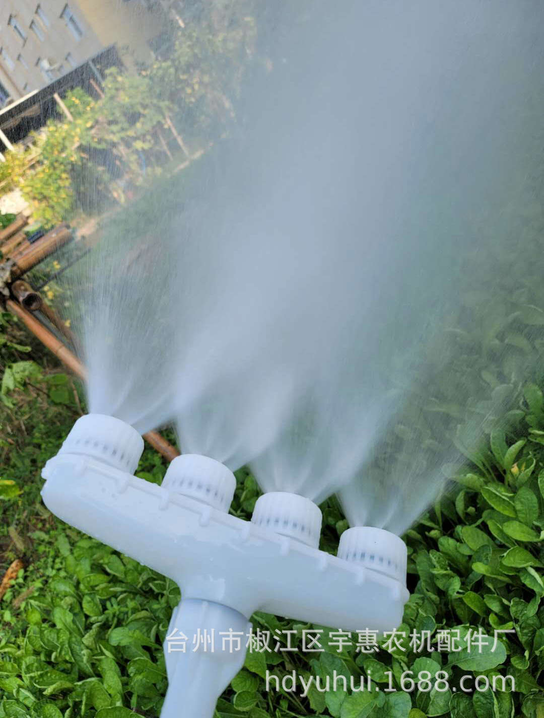 微信图片_20201029220440