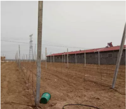 陕西滴灌管价格_陕西滴灌管哪家好_选择杨凌润沃价格低