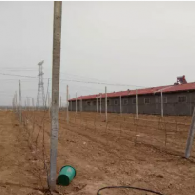 陕西滴灌管价格_陕西滴灌管哪家好_选择杨凌润沃价格低图3