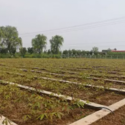 陕西微喷带厂家_陕西微喷带销售_公司_选择杨凌润沃***图3