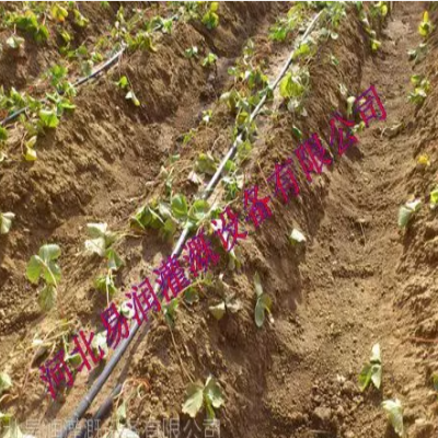 山西按需定制***微灌管，水肥一体化滴灌管图5