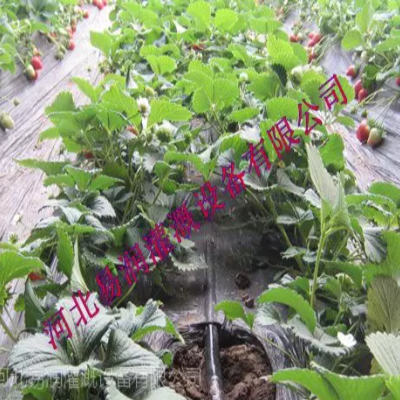 山西滴灌管灌溉推广 前景好节能***微灌管图3