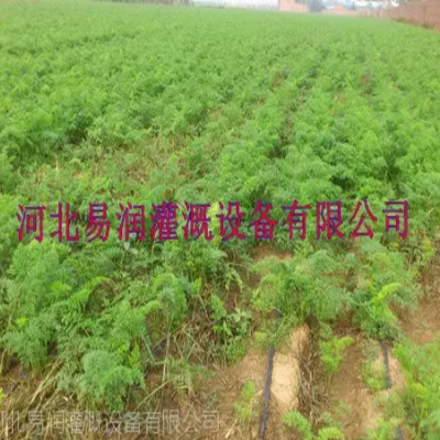 品种多滴水扁管 河南***大田滴灌带图2