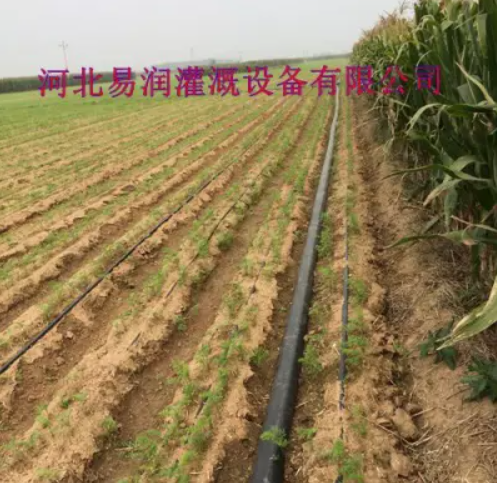 河南准确灌溉大田滴灌带 防灼伤塑料滴水扁管