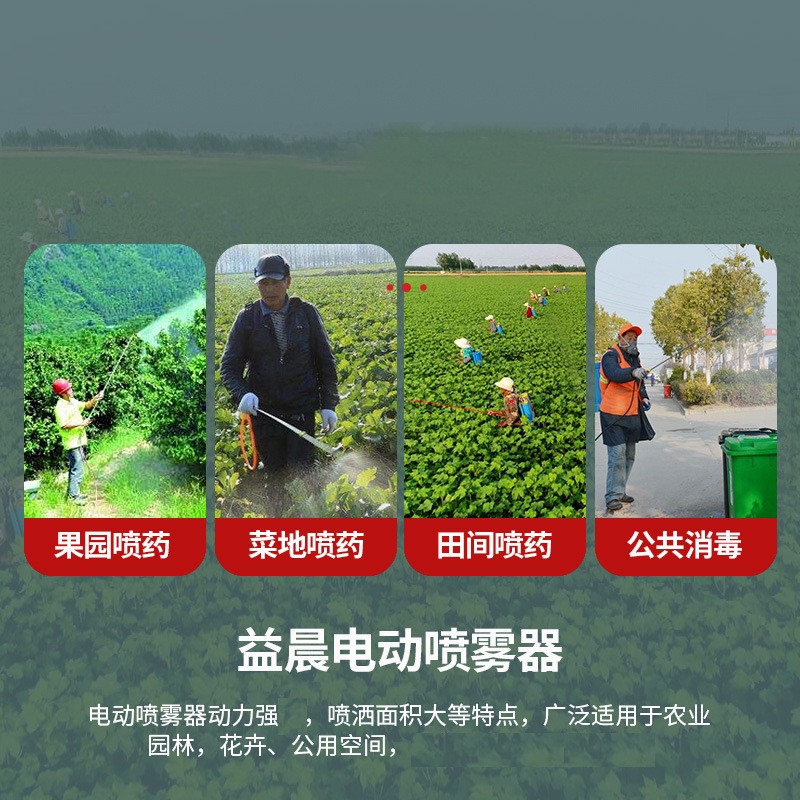 蔬菜消毒打药机农用背负式电动喷雾器 打药机充电农药喷雾器喷壶图4