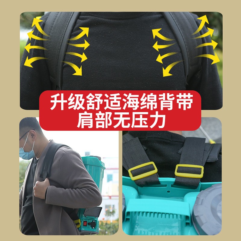 蔬菜消毒打药机农用背负式电动喷雾器 打药机充电农药喷雾器喷壶图3