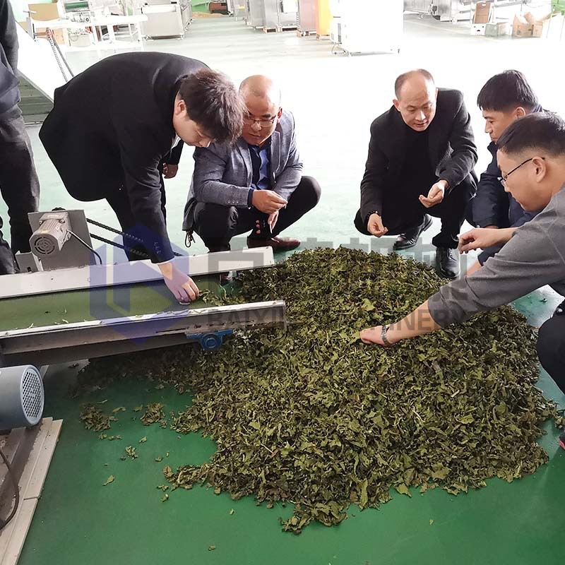 牧草干燥机 大型网带牧草烘干机 多层连续式牧草饲料烘干设备图3