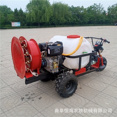 新款果园喷雾机 供应规格全苗圃打药机价格 菜地自走式喷雾器图片
