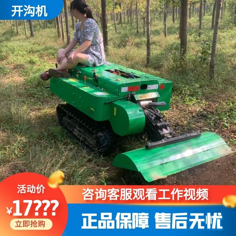 300L容量小型果园喷雾机 风送式果树打药机 自走式消毒喷药机图4