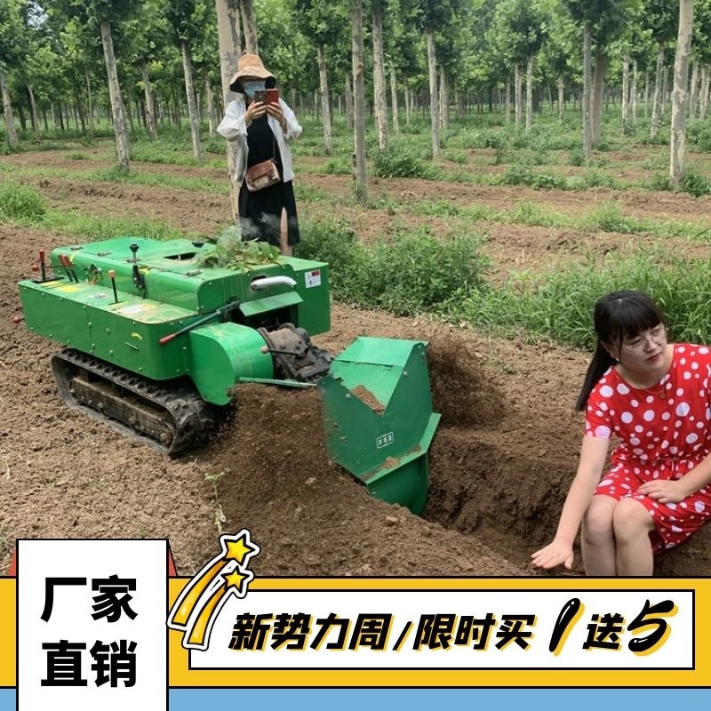 300L容量小型果园喷雾机 风送式果树打药机 自走式消毒喷药机