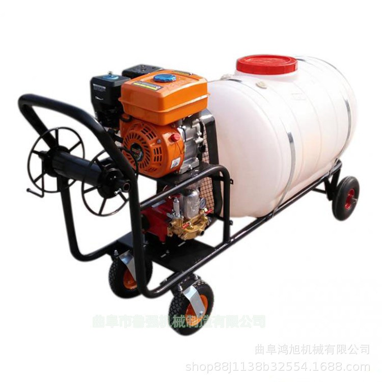 菜地除草打药杀虫机械 手推式汽油喷雾器 浇花消毒喷药机图5