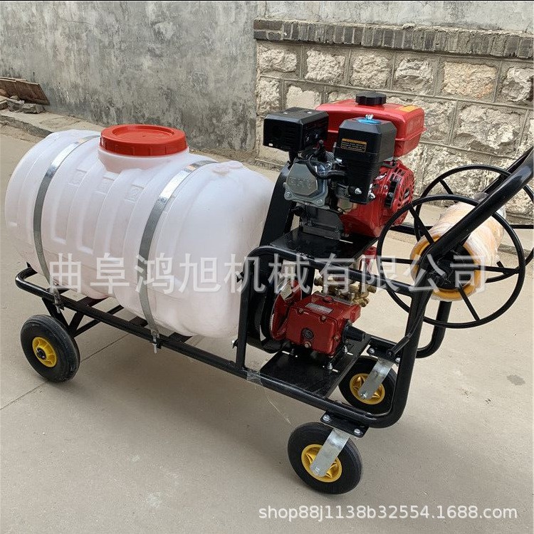 菜地除草打药杀虫机械 手推式汽油喷雾器 浇花消毒喷药机图4