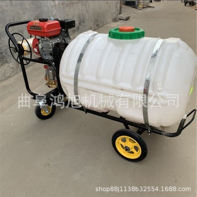 菜地除草打药杀虫机械 手推式汽油喷雾器 浇花消毒喷药机