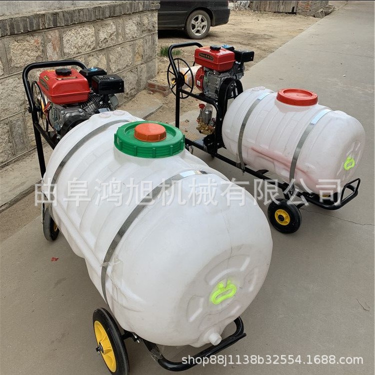菜地除草打药杀虫机械 手推式汽油喷雾器 浇花消毒喷药机图3