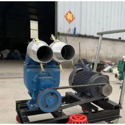 养殖用抽粪泵污水泵 电机款高压喷灌泵 移动式柴油抽水机抗旱浇地图3