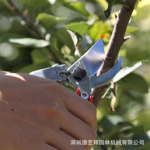 爱丽斯ARS VS-8XZ 园艺剪刀 园林工具修枝剪苹果树剪刀园艺修枝剪图4