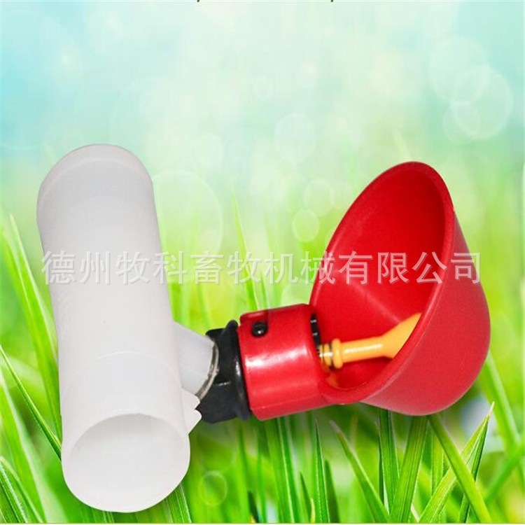 鹌鹑鸽鸟用加厚饮水碗出口品质鸡用自动碗式饮水器小鸟雏鸡饮水杯图4