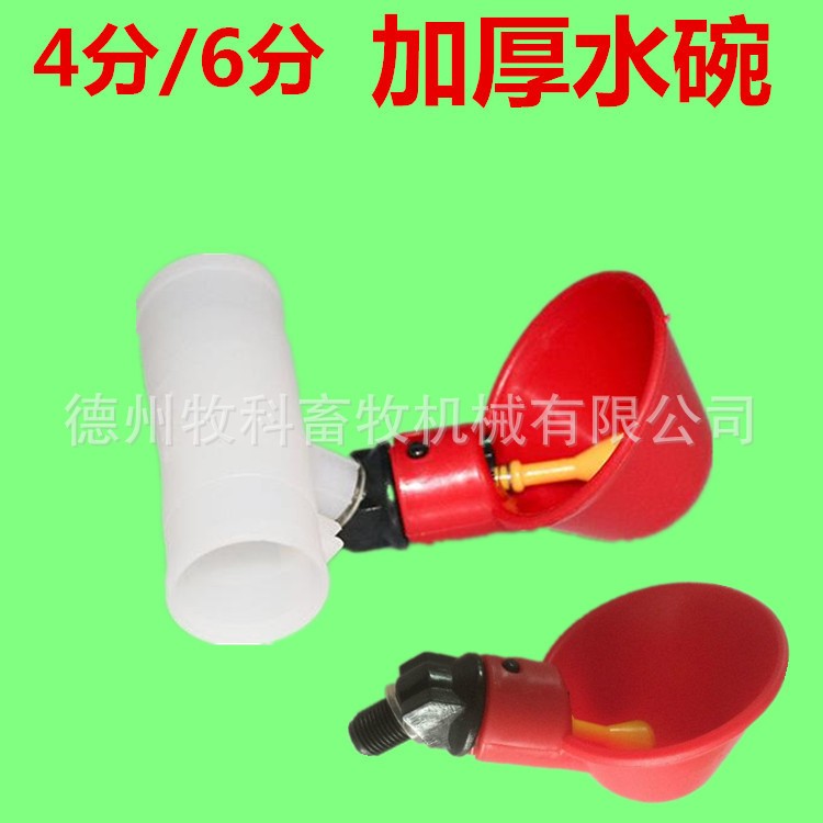 鹌鹑鸽鸟用加厚饮水碗出口品质鸡用自动碗式饮水器小鸟雏鸡饮水杯图2