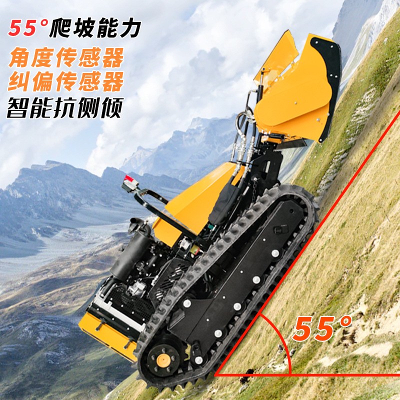 全地形遥控森林防火拓荒机 履带堤坝护坡割草机夏季除草必备图3