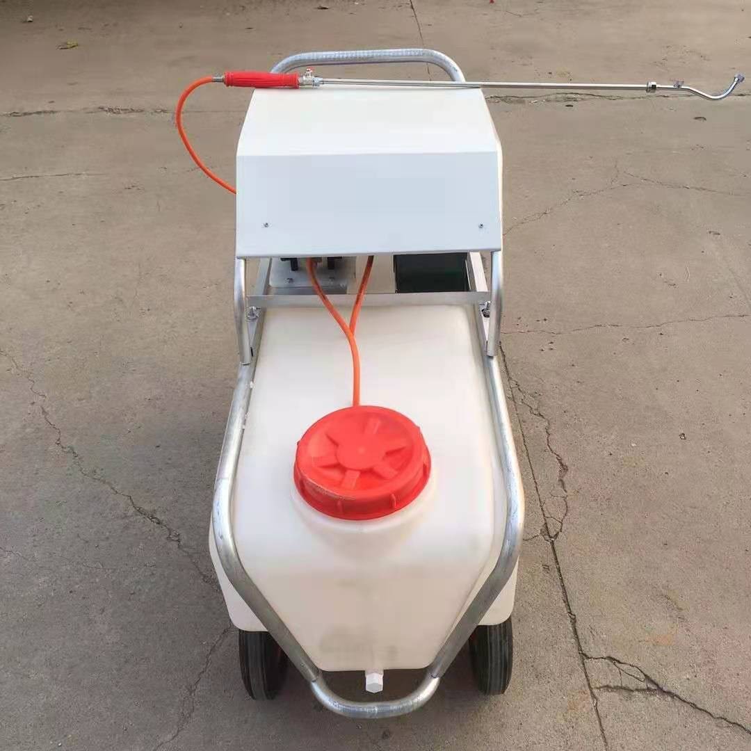 推车式喷雾消毒一体机手推式电动高压喷雾机 大棚蔬菜消毒打药机图3