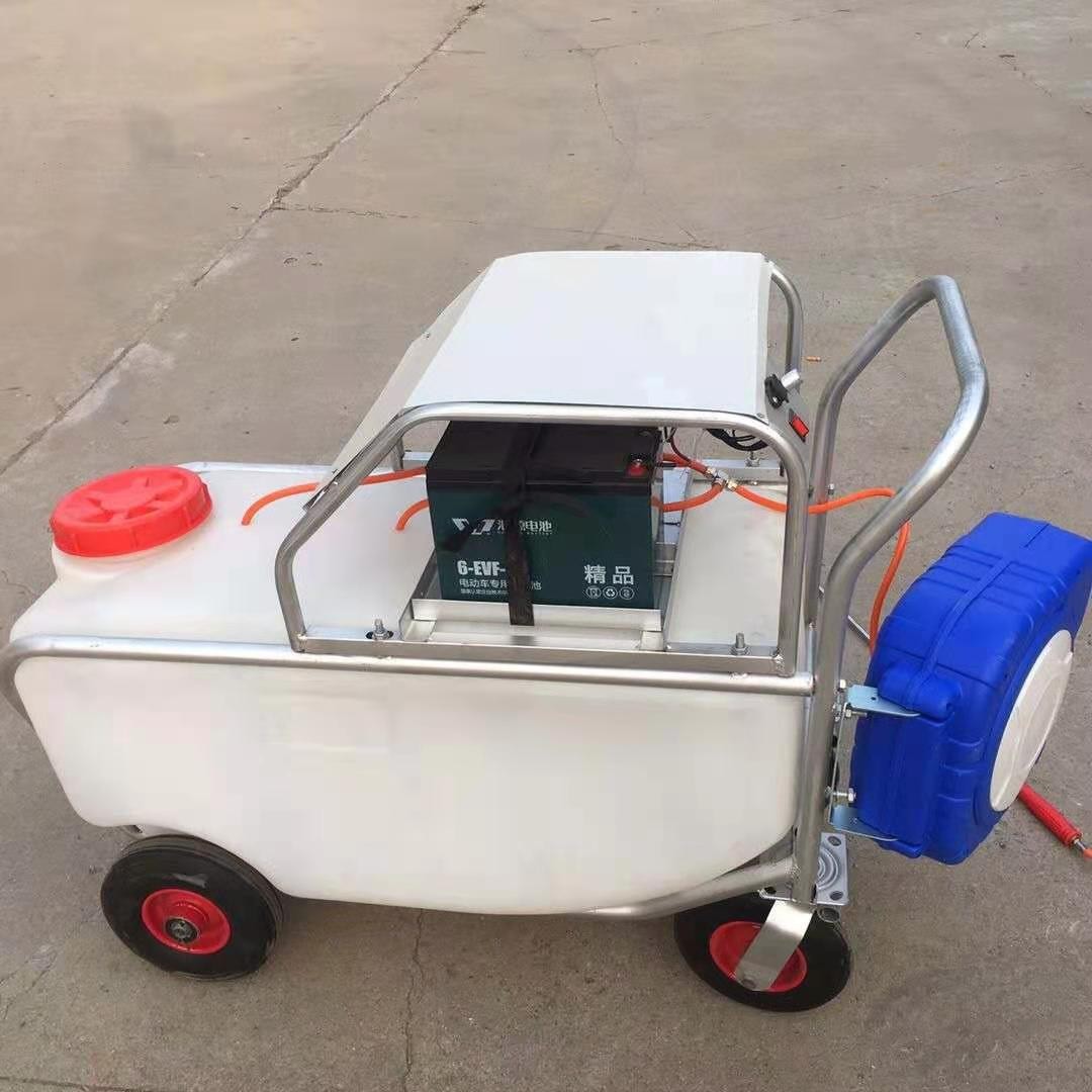 推车式喷雾消毒一体机手推式电动高压喷雾机 大棚蔬菜消毒打药机图2