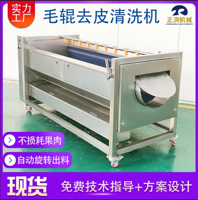 新款人参清洗去泥机 根茎中药材毛刷清洗机 高压喷淋草石蚕去泥机图2