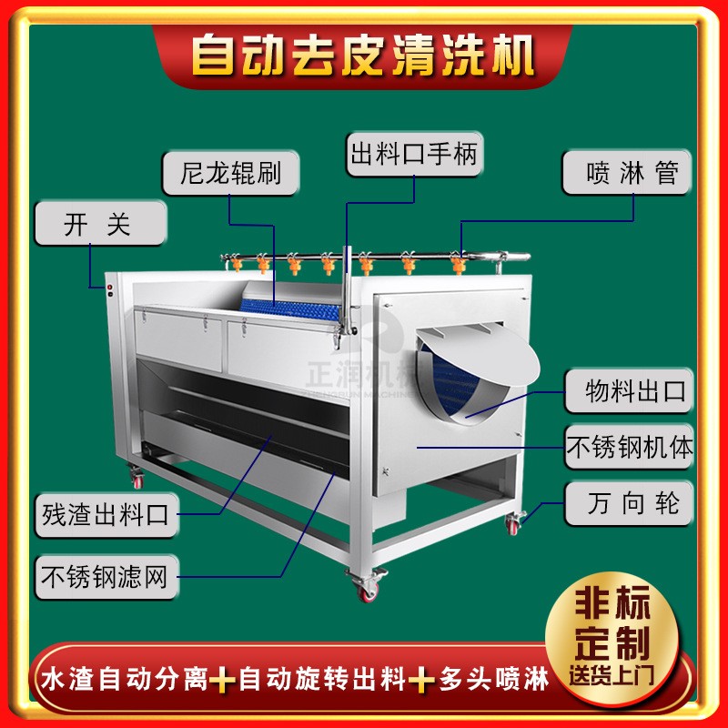 供应毛辊莲菜去皮机 薯片加工毛辊清洗机 商用全自动香芋清洗机图3