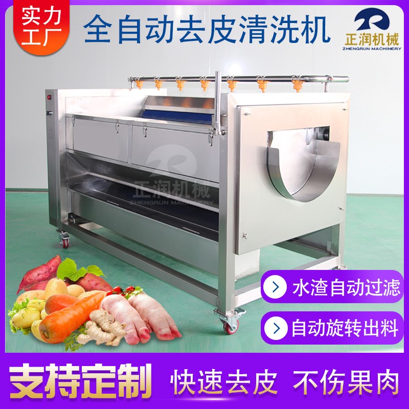 供应毛辊莲菜去皮机 薯片加工毛辊清洗机 商用全自动香芋清洗机