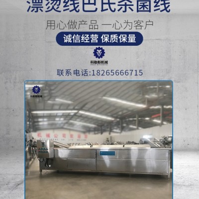 科勒斯LPT10000漂烫线猕猴桃片固色固型芒果片漂烫防氧化