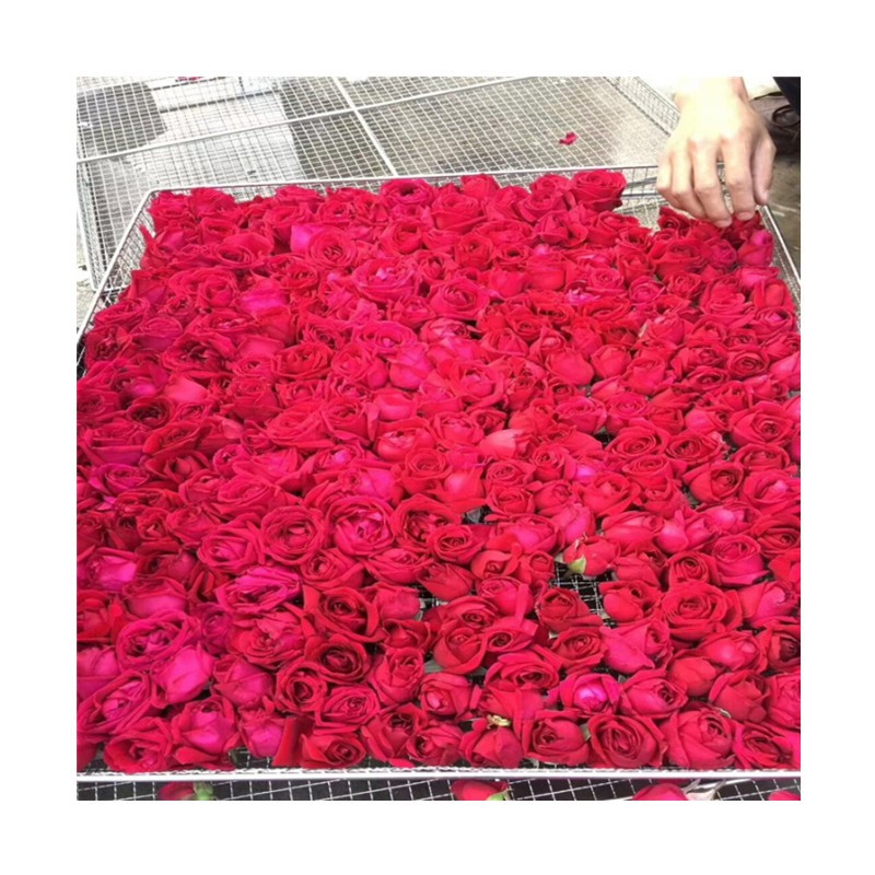 诚亿 红玫瑰花茶烘干机 玫瑰花苞烘干箱 金银花 红茶绿茶烘干设备图5