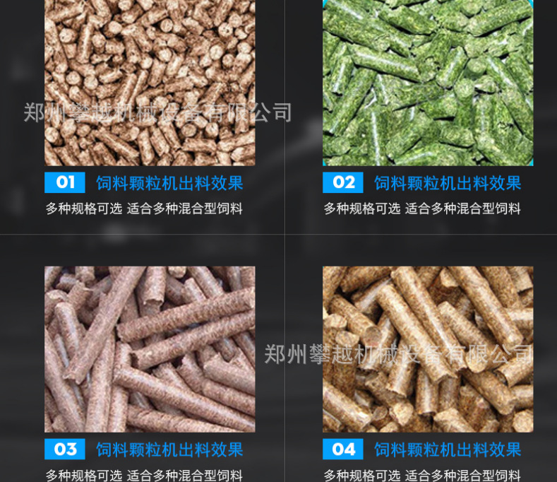 微信图片_20190126221245