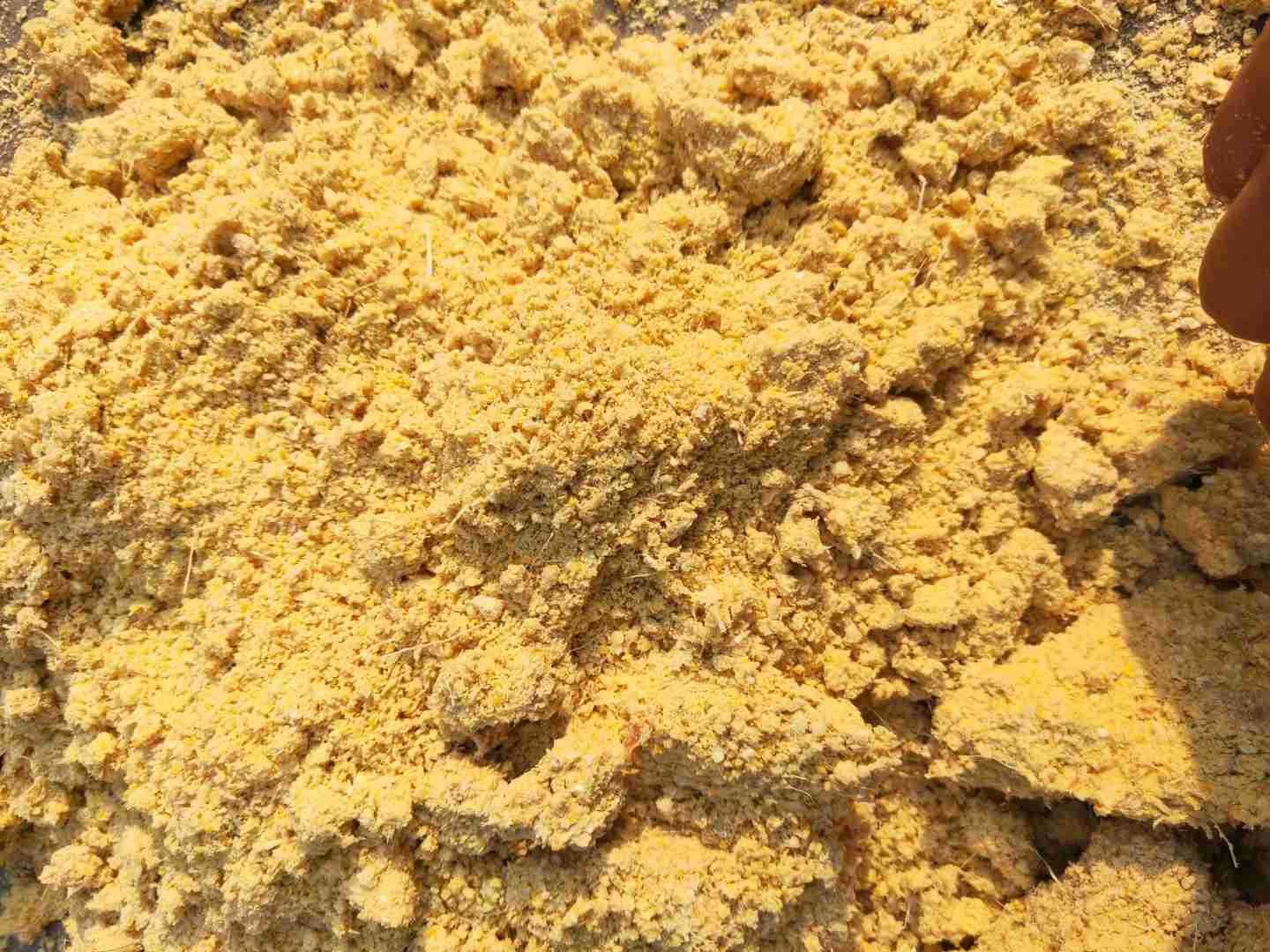 高湿玉米精细化粉碎设备青贮玉米粉碎机发酵喂猪源头解决饲料无抗图5