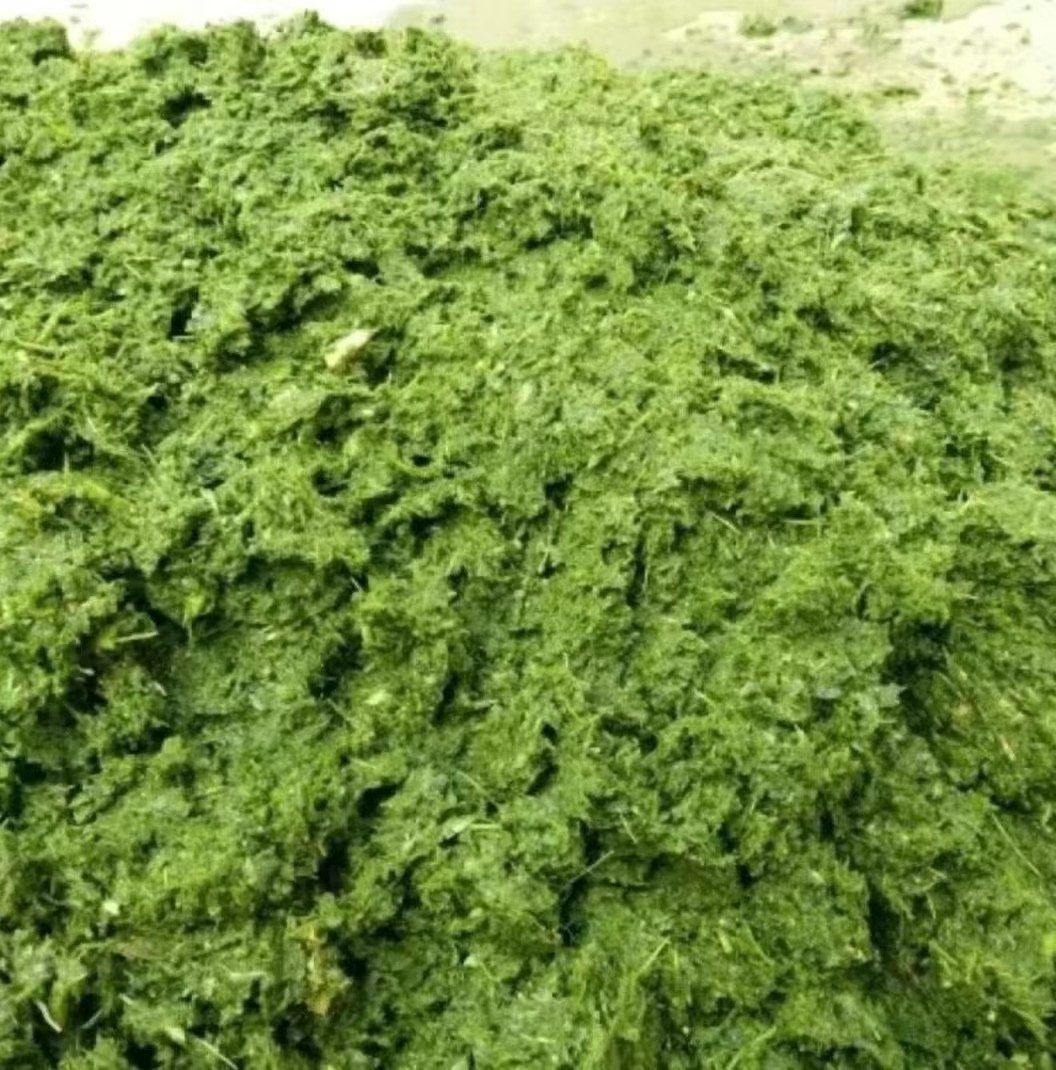 家用小型精细化粉碎机玉米秸秆皇竹草甜象草等粉碎用于喂猪鸡鸭鹅图4