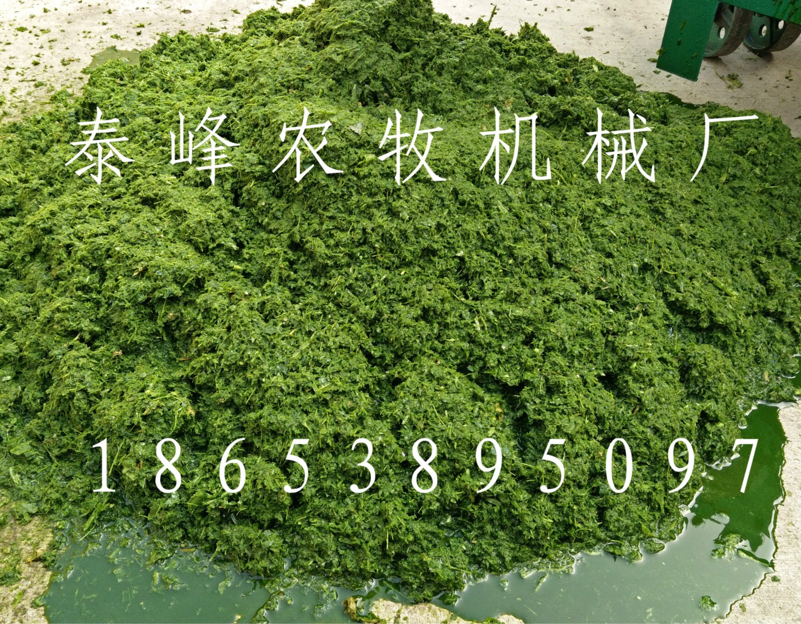 9LQD-60B型青饲料打浆机碎草机青草蔬菜南瓜秸秆水果蔬菜粉碎机图4