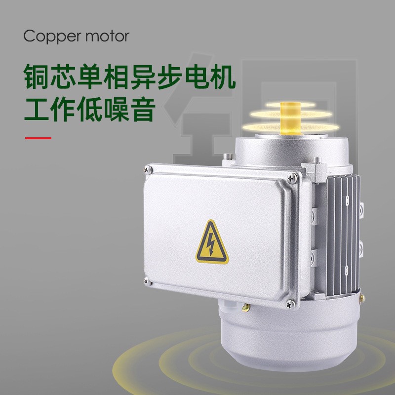 厂家直供不锈钢榨油机 商用小型全自动 花生菜籽压榨机图4