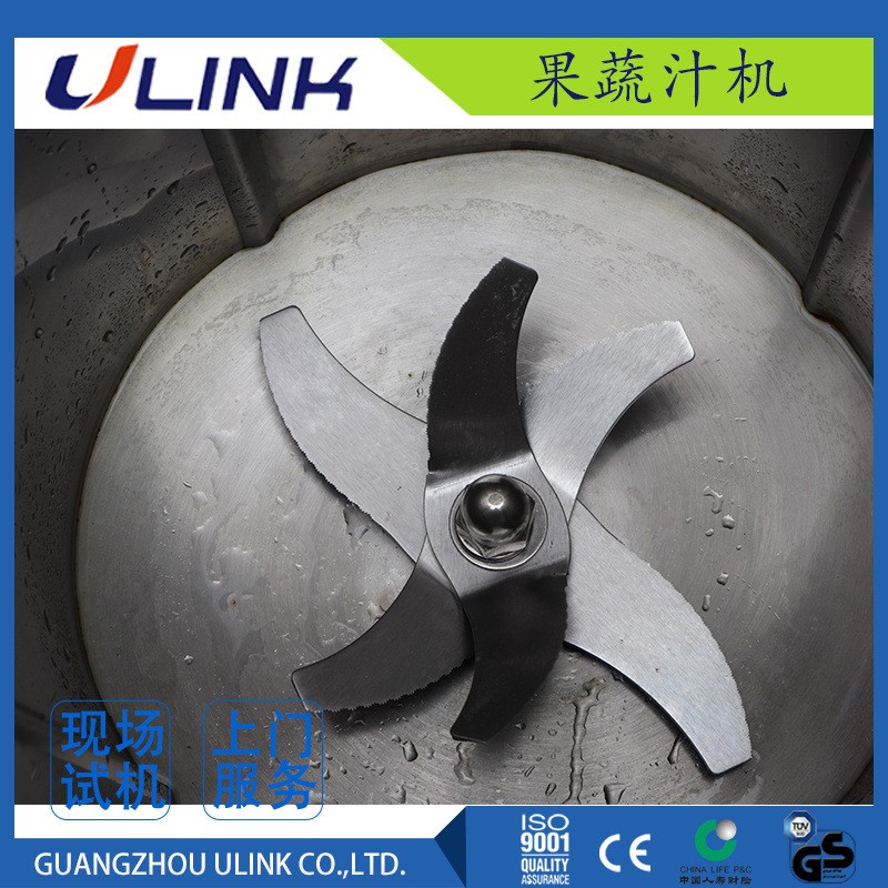 蔬菜打汁机 蔬菜打浆机商用果汁机水果打碎机打汁机图4