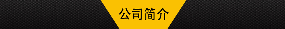 公司简介